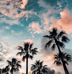 Meet your Posher, Katrina